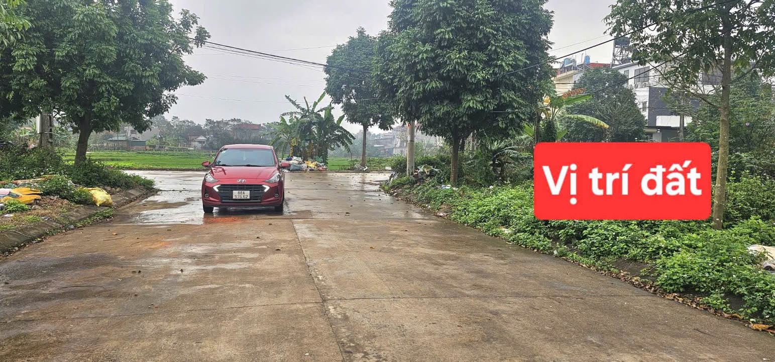 Đất nền Tam Quan, Tam Đảo 100m² - Sổ đỏ chính chủ