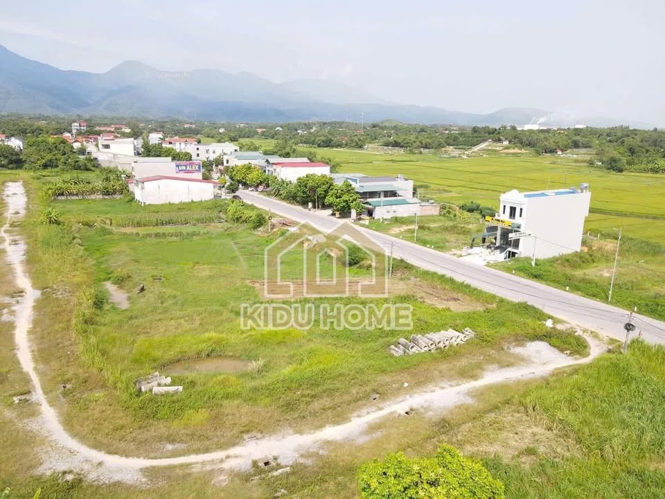 Đất Vàng Hoàng Hoa, Tam Dương 162m² - Sẵn Sàng Đầu Tư Sinh Lời