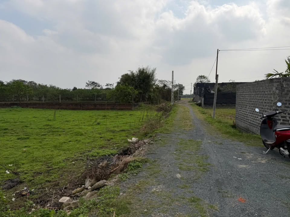 Đất vườn Sài Sơn Quốc Oai 192m² chỉ 576 triệu - Nghỉ dưỡng lý tưởng!