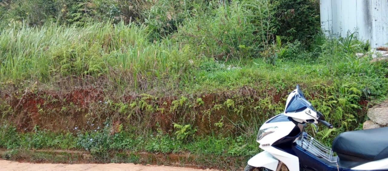 Đất Nền Lạc Dương 169m² - Sổ Đỏ Sẵn Sàng - 2.8 Tỷ Đầu Tư Sinh Lời