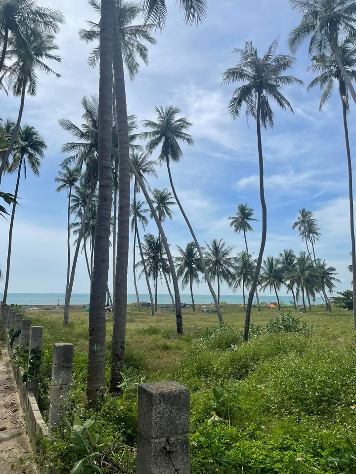 Đất nền Phan Thiết 4700m² - Giá tốt hiếm có, sát SunGroup Mũi Né!