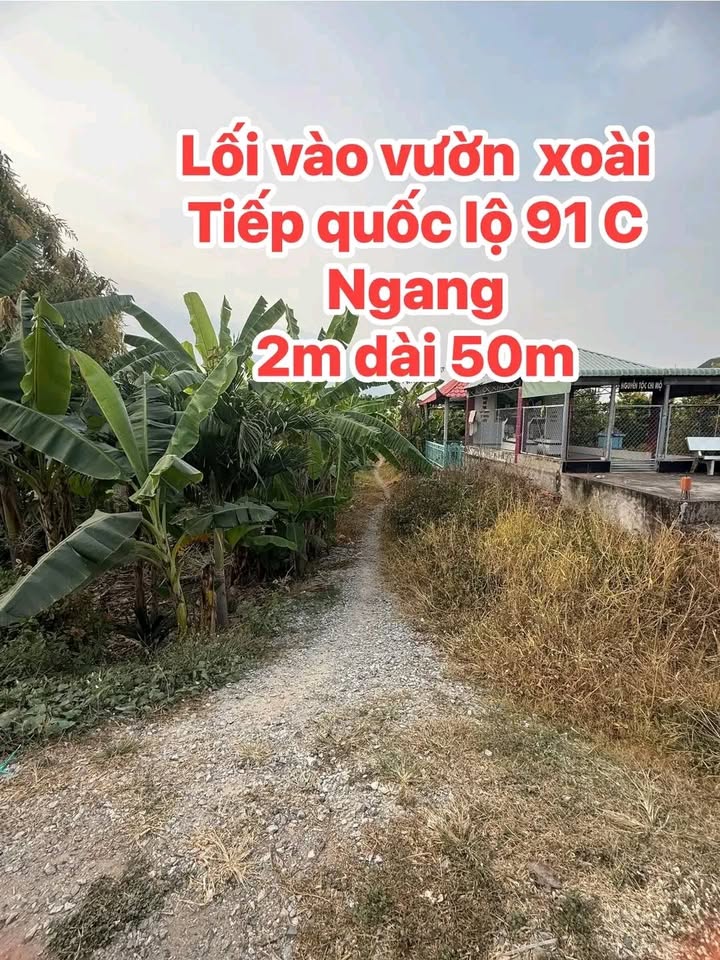 Đất vườn An Giang 10.000m² – Cơ hội đầu tư dài hạn!