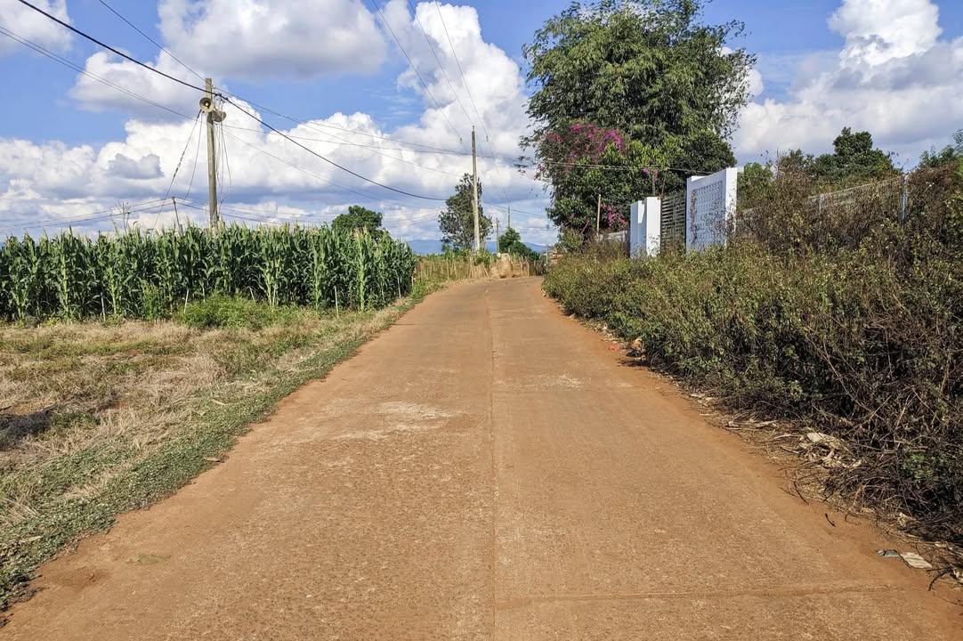 Đất nền Tân Hội, Đức Trọng 1000m² - Sổ đỏ chính chủ!