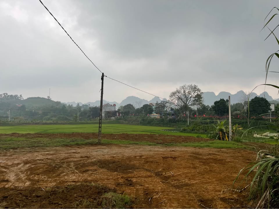 Đất nền Phú Thọ 1360m² Sổ đỏ - Đầu tư sinh lời hoặc nghỉ dưỡng lý tưởng