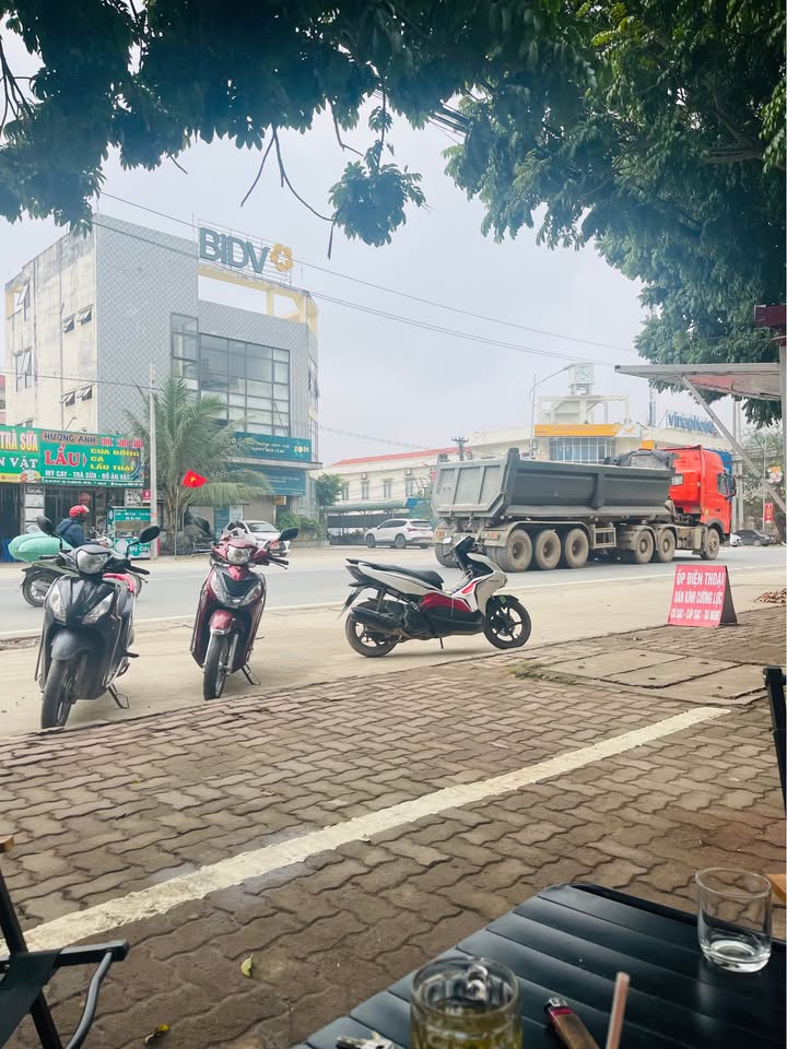 Đất Vàng Quốc Lộ 6 Lương Sơn 203m² - Kinh Doanh Sầm Uất