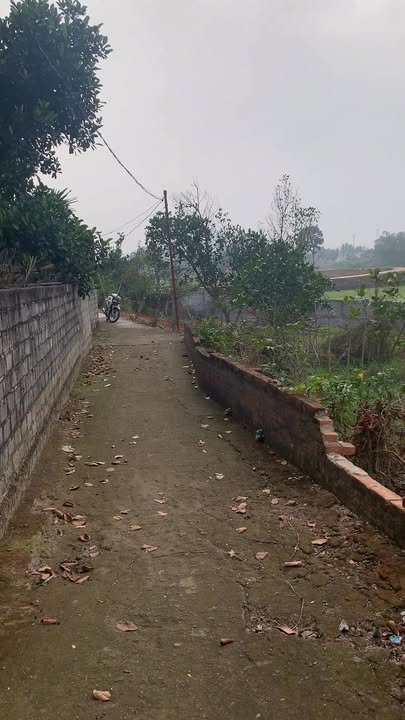 Đất Vườn Xã Mỹ Thái, Lạng Giang - 1000m², Sổ Đỏ Rõ Ràng, Giá Đầu Tư