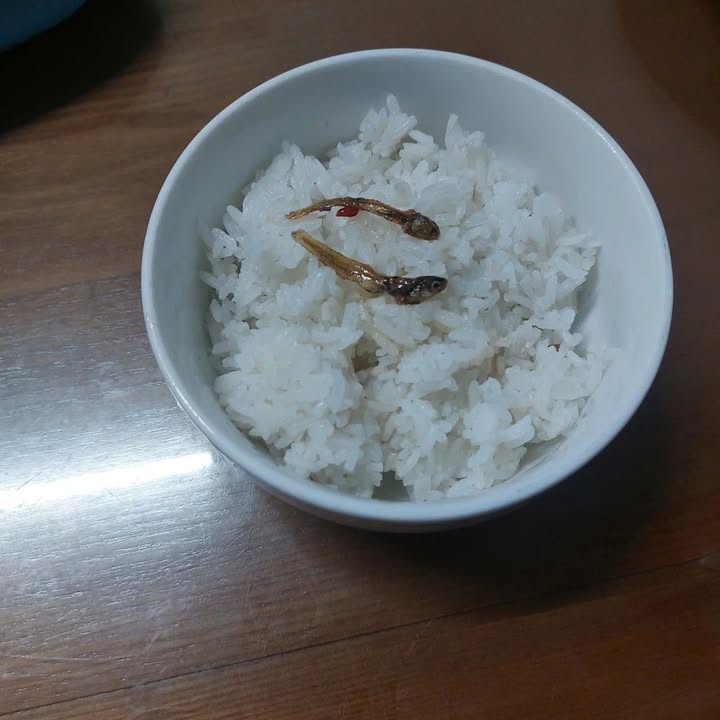 Bán Đất Vĩnh Long 102m² Sổ Đỏ, Giá 450 Triệu - An Hội