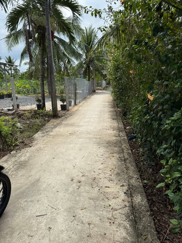 Bán đất Thới Lai Bình Đại 700m² giá 430 triệu - Sổ đỏ chính chủ