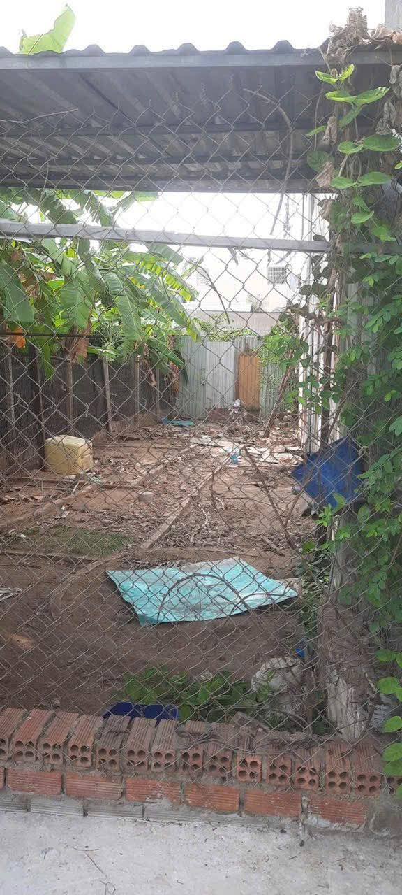 Bán Đất Tam Bình Thủ Đức 48m² - Sổ Hồng Sẵn Sàng