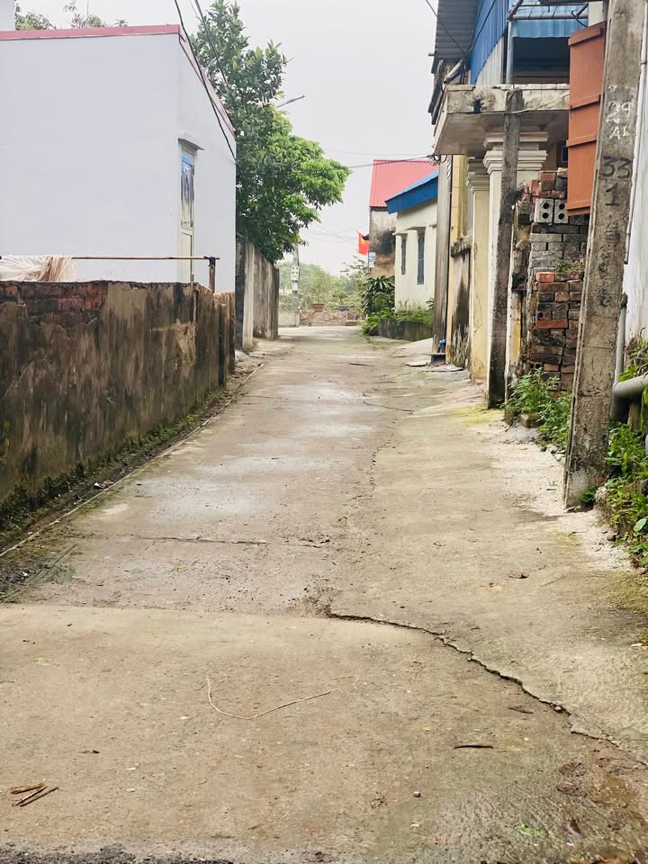 Bán đất Phường Hiến Nam, Hưng Yên - 70m² - Ngõ ô tô nhỏ