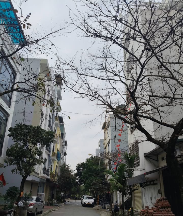 Nhà Phố Kiến Hưng Hà Đông 55m² x 7 Tầng - Kinh Doanh Đỉnh Cao, Ô Tô Đỗ Cửa