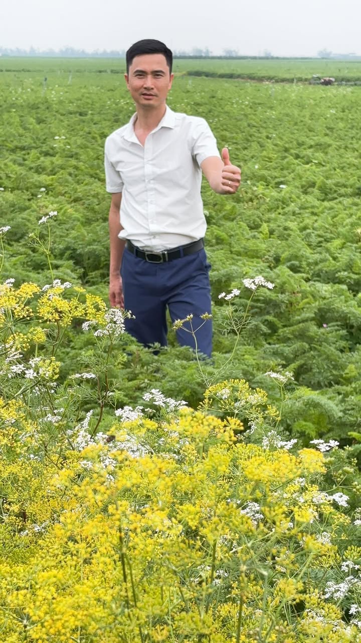 Đất Nền Áp Góc 72m² Quang Châu, Việt Yên - Giá 3.x Tỷ