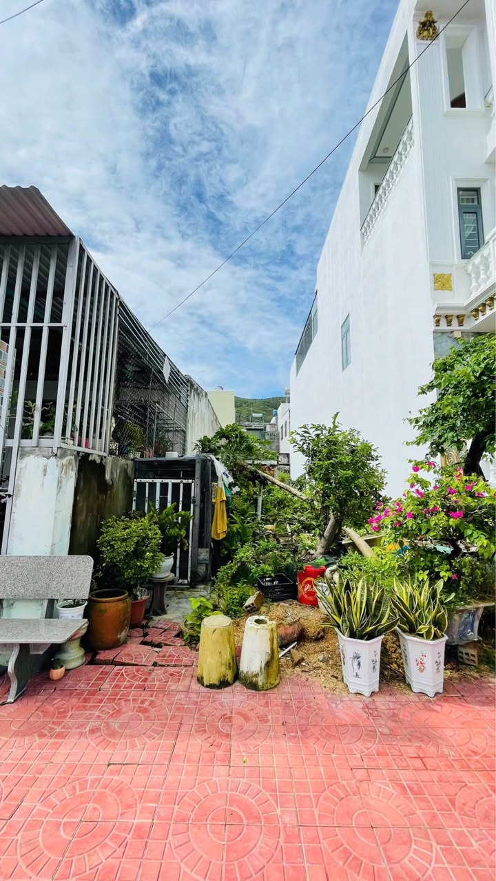 Đất nền Phước Hòa, Tuy Phước 137m² - Sổ đỏ sẵn, giá tốt đầu tư