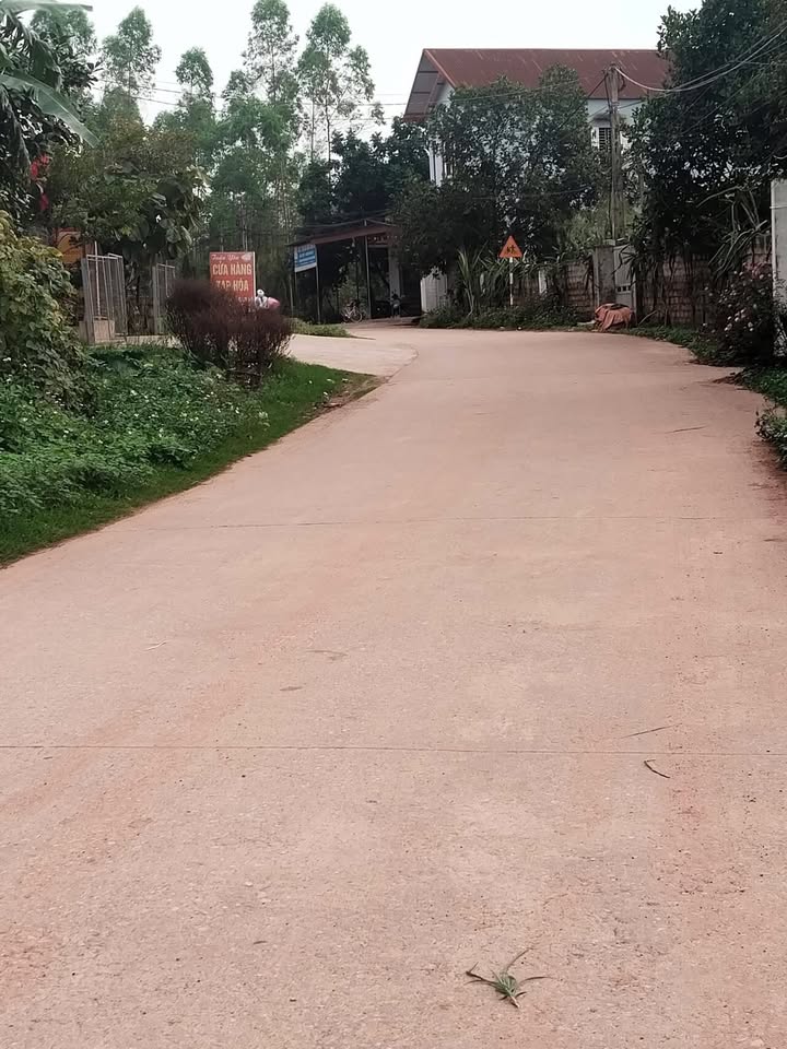 Đất nền An Thịnh, Lương Tài 100m² giá 1.2 tỷ - Đất thổ cư 100%