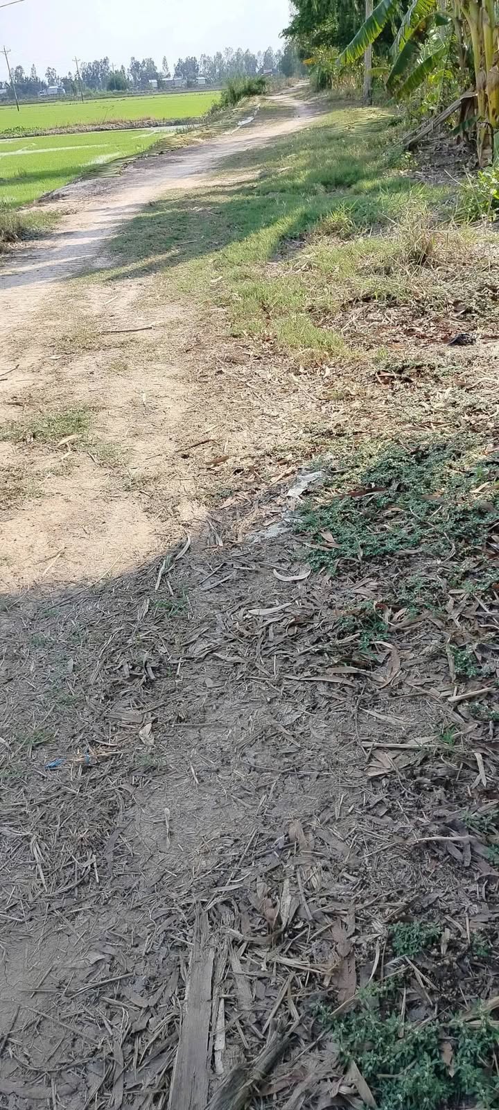 Đất Vườn 20.000m² Mặt Tiền 80m Giá 3.2 Tỷ Tại Cao Lãnh, Đồng Tháp