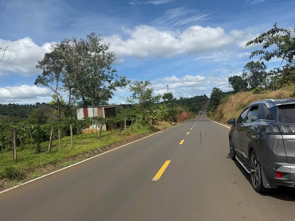 Bán Đất Farm 2ha Mặt Tiền Đường Tránh Ia - Grai, Gia Lai - Vườn Tiêu, Cafe 13 Năm Tuổi