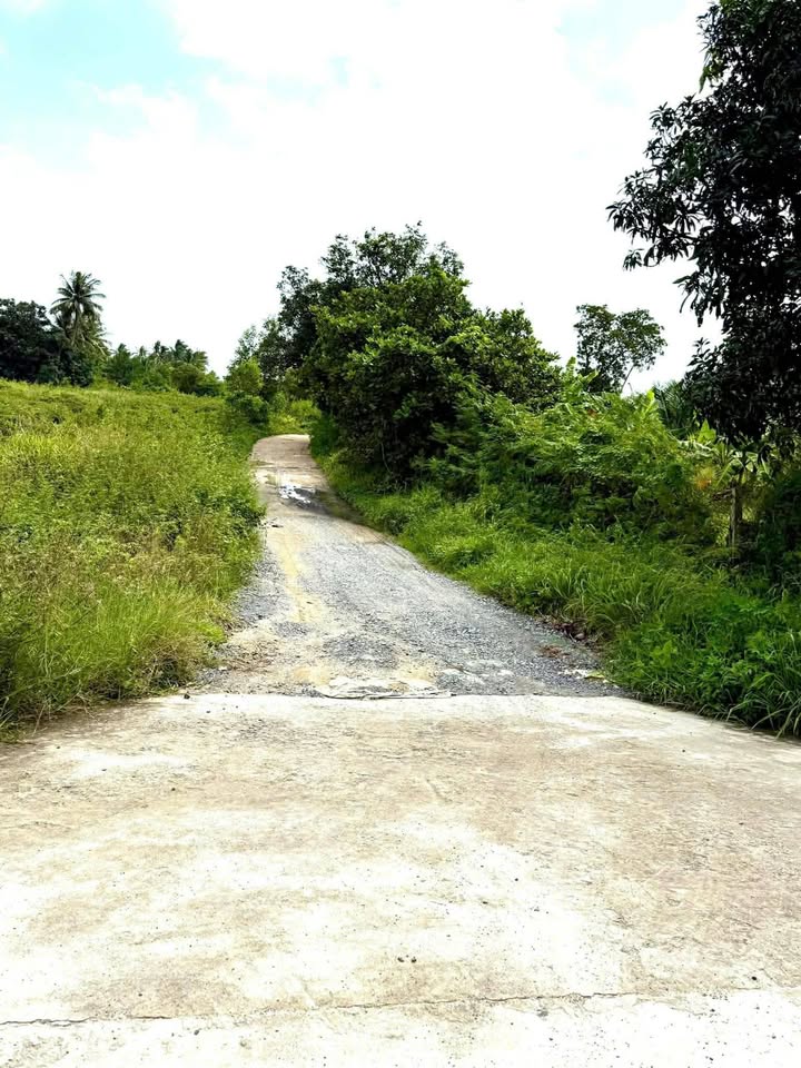 Bán Đất Cam Phúc Bắc 115m² - Sổ Đỏ Full Thổ Cư, Giá 1 Tỷ