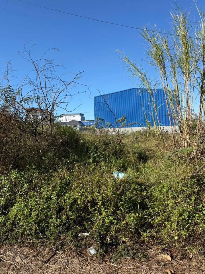 Đất nền Đức Trọng 157m² Sổ Đỏ Sẵn Sàng - Đầu tư sinh lời