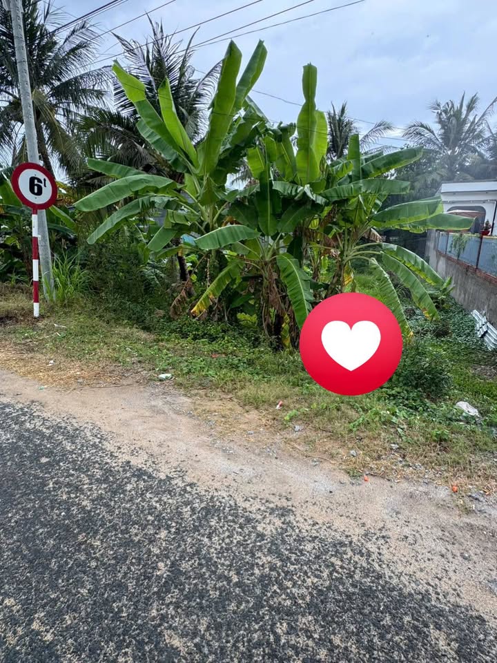 Đất Nền Mặt Tiền Đường Nhựa Tân Châu - 110m² Thổ Cư, Giá 8xx Triệu