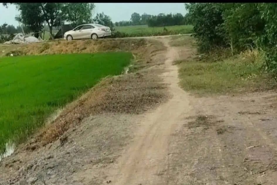 Đất ruộng 5400m² Mỹ Chánh, Trà Vinh - Sổ đỏ chính chủ, 115 triệu/công!