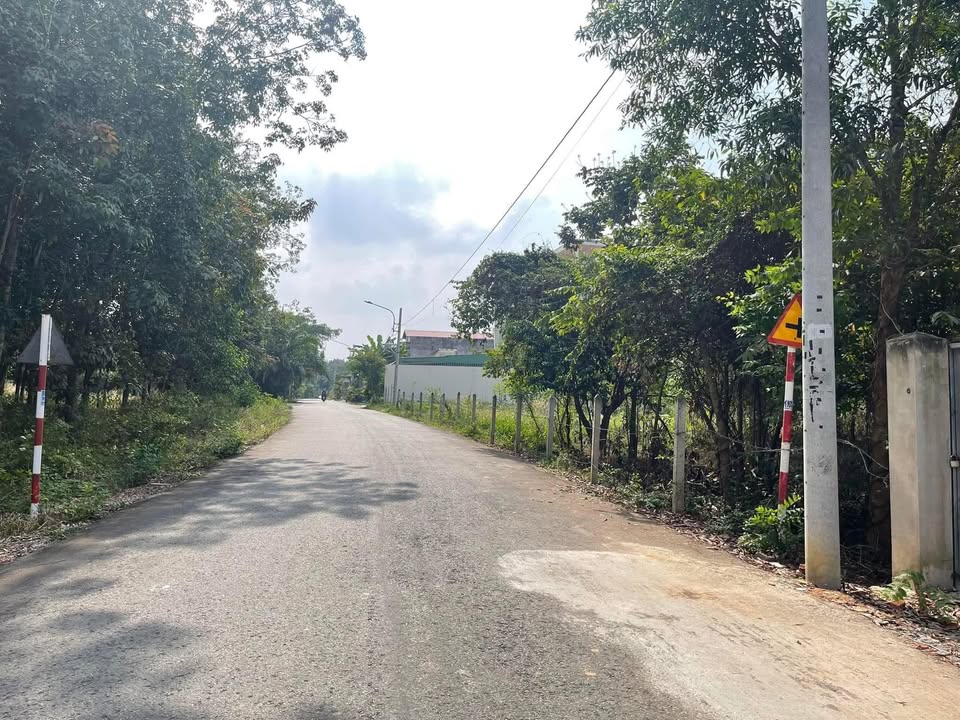 Bán Đất 119m² Phường Chánh Mỹ, Thủ Dầu Một - Giá 2 Tỷ, Gần BV Phương Chi