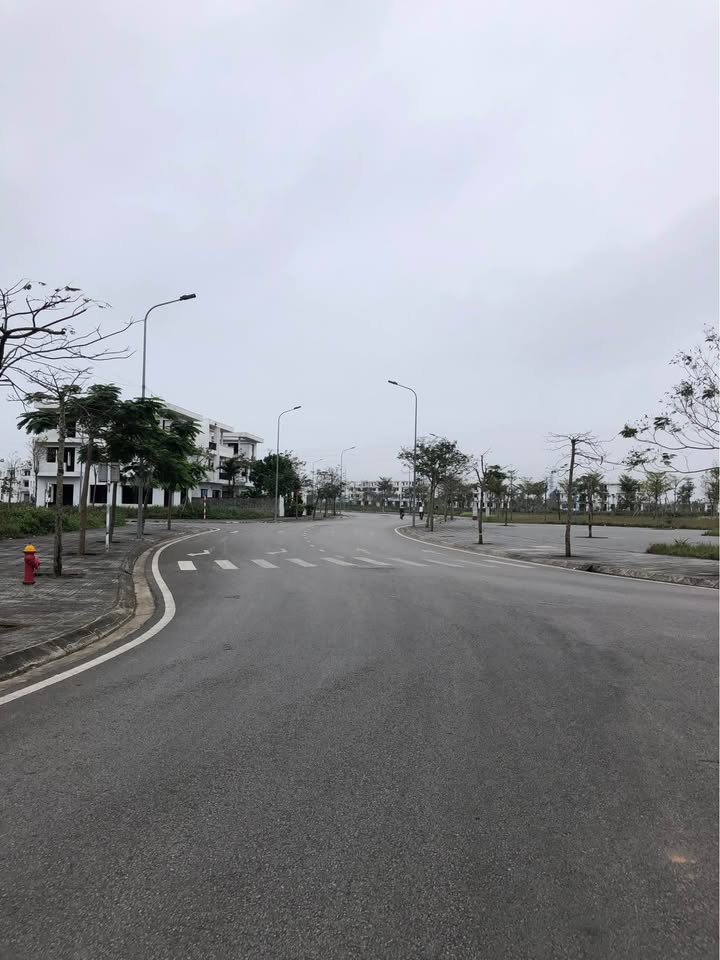 Đất nền Phường Đông Hải 377m² - Sổ đỏ chính chủ, giao dịch ngay!