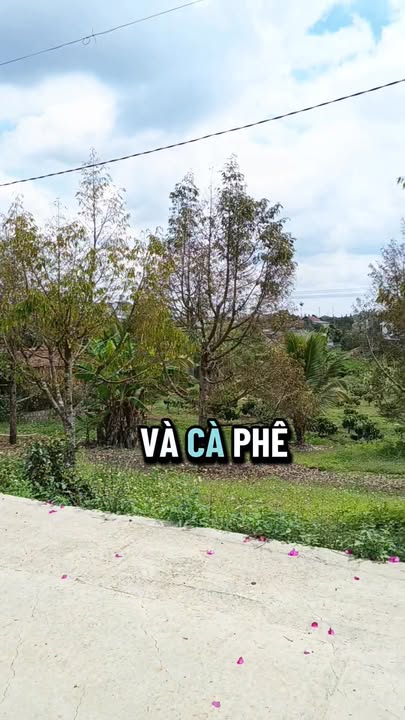 Đất Nền Đại Lào, Bảo Lộc 1038m² - Sổ Hồng Sẵn Sàng Đầu Tư