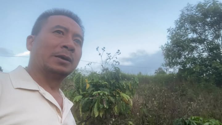 Đất nền Gia Hiệp Di Linh 13.000m² 3,6 tỷ - Đường to ô tô