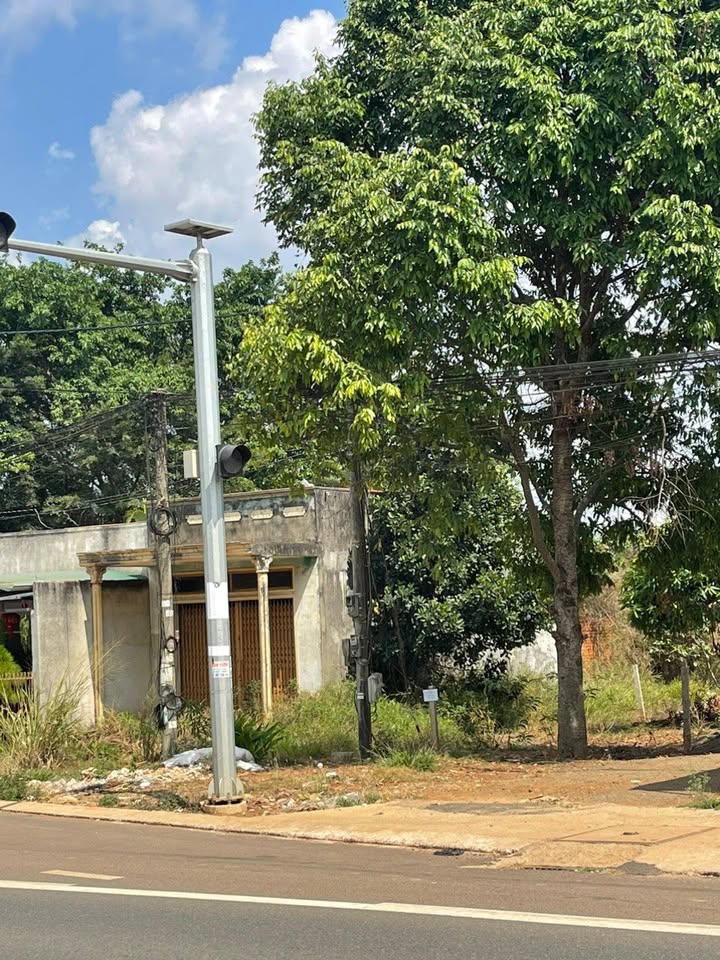 Đất nền Quốc lộ 20 Di Linh 175m² - Sổ đỏ chính chủ, tiềm năng vàng!