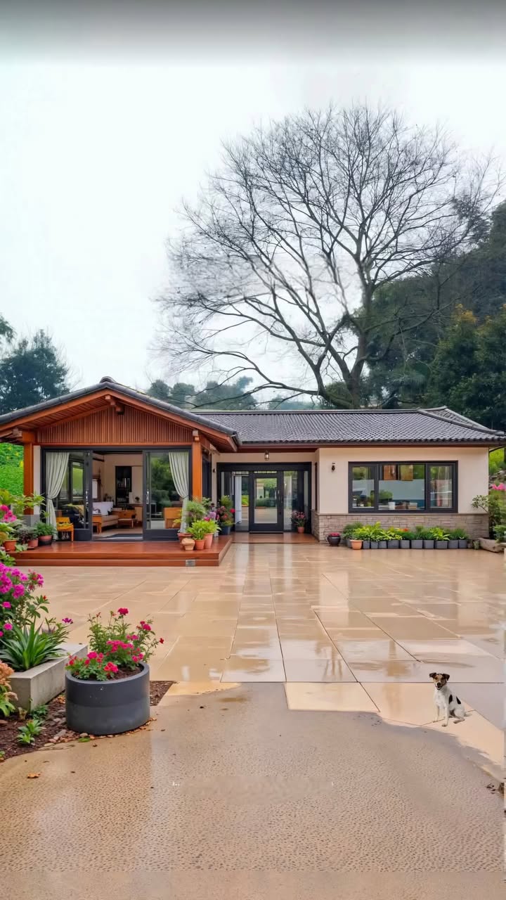 Đất nền Cẩm Thành, Hà Tĩnh - 210m² - Gần QL1A, Đường 10m