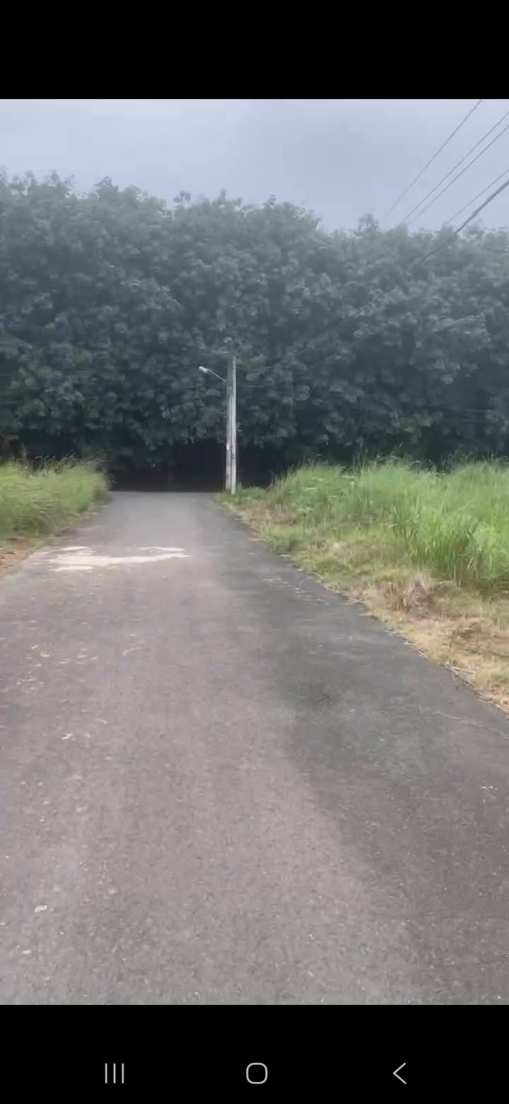 Đất nền Tiến Hưng Đồng Xoài từ 370 triệu - Tiềm năng tăng giá!