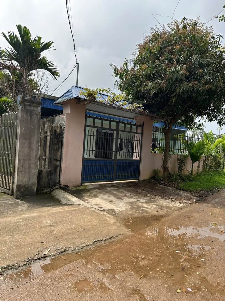 Đất nền 352m² Tân Cương, Thái Nguyên - Sổ đỏ chính chủ