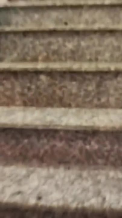 Nhà Gác Lửng 75m² Ấp 2 Long Thọ, Nhơn Trạch - Sổ Hồng Riêng, Giá 850 Triệu