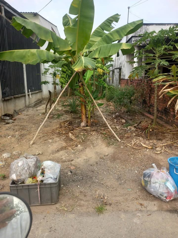 Đất Vàng 1960m² Mặt Tiền Bà39, Phú An, Bến Cát - Giá 1.9 Tỷ