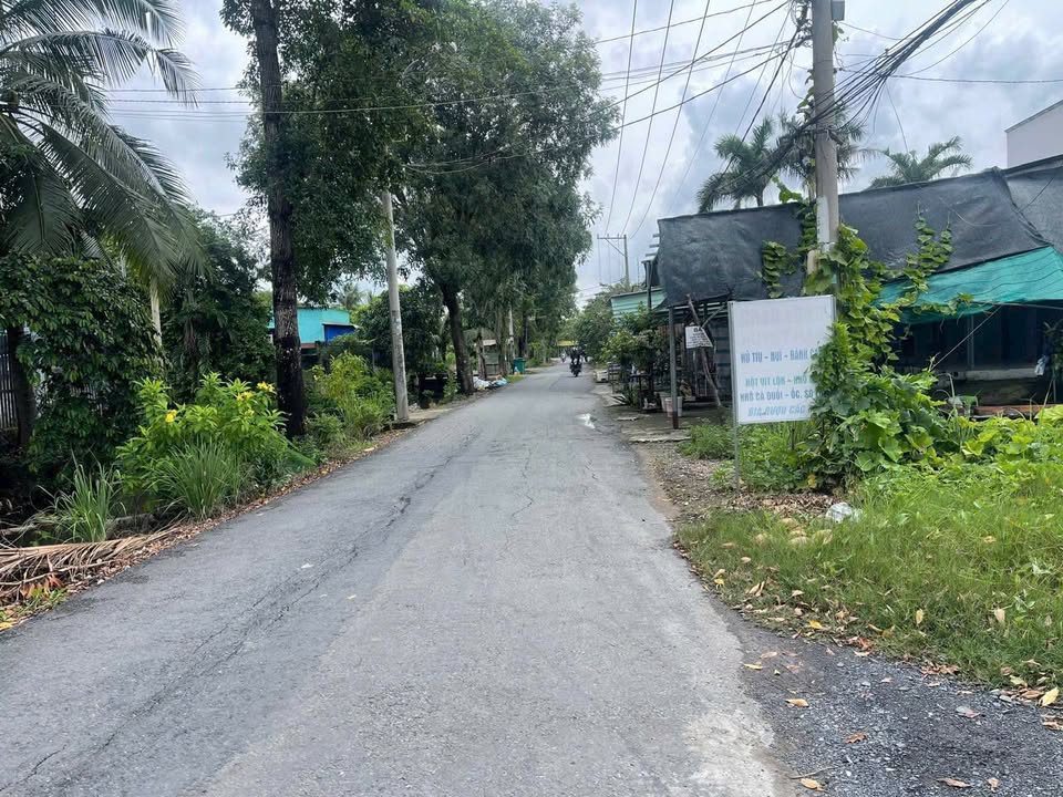 Đất nền Bình Chánh 3200m² 29 tỷ - Sổ đỏ chính chủ