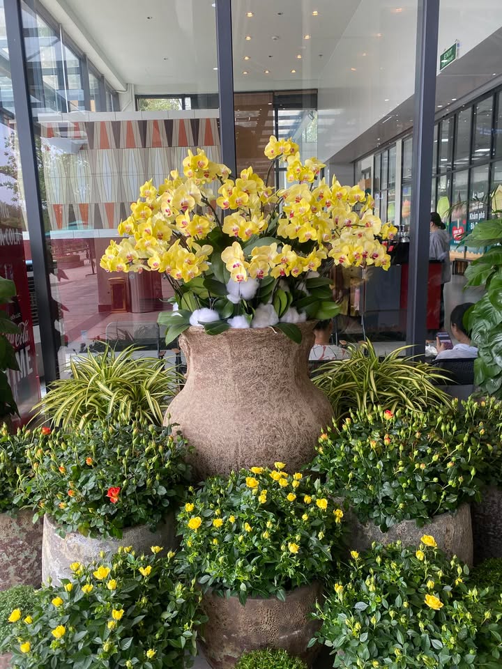 Cho thuê nhà Cấp 4 Xã Bình Mỹ Củ Chi 80m² - Sẵn sàng vào ở ngay!