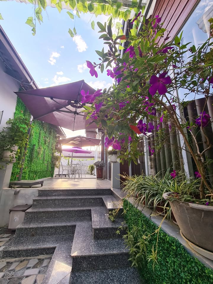 Thuê phòng Ngô Thì Sỹ Đà Lạt giá tốt - View đẹp mộng mơ!