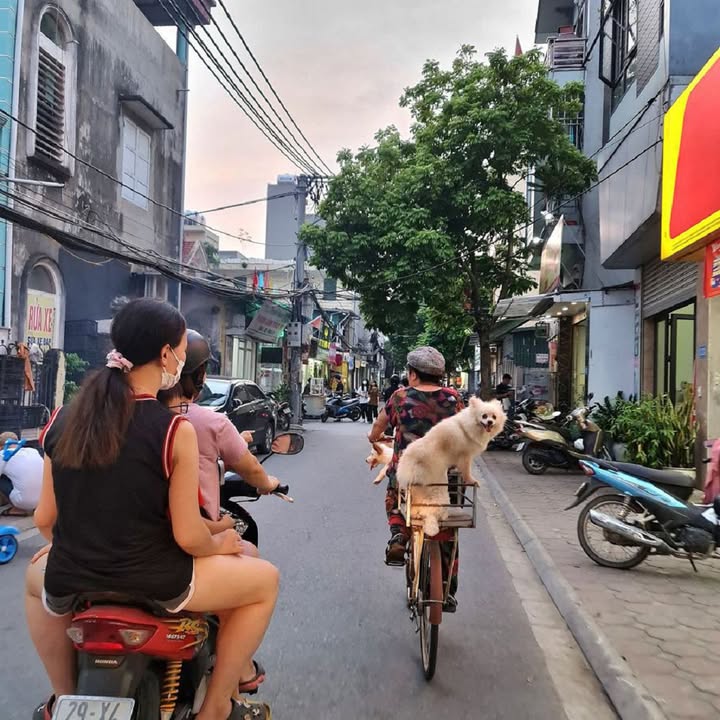 Nhà 33m2 Trâu Quỳ, Gia Lâm - Kinh doanh sầm uất, ô tô vào nhà