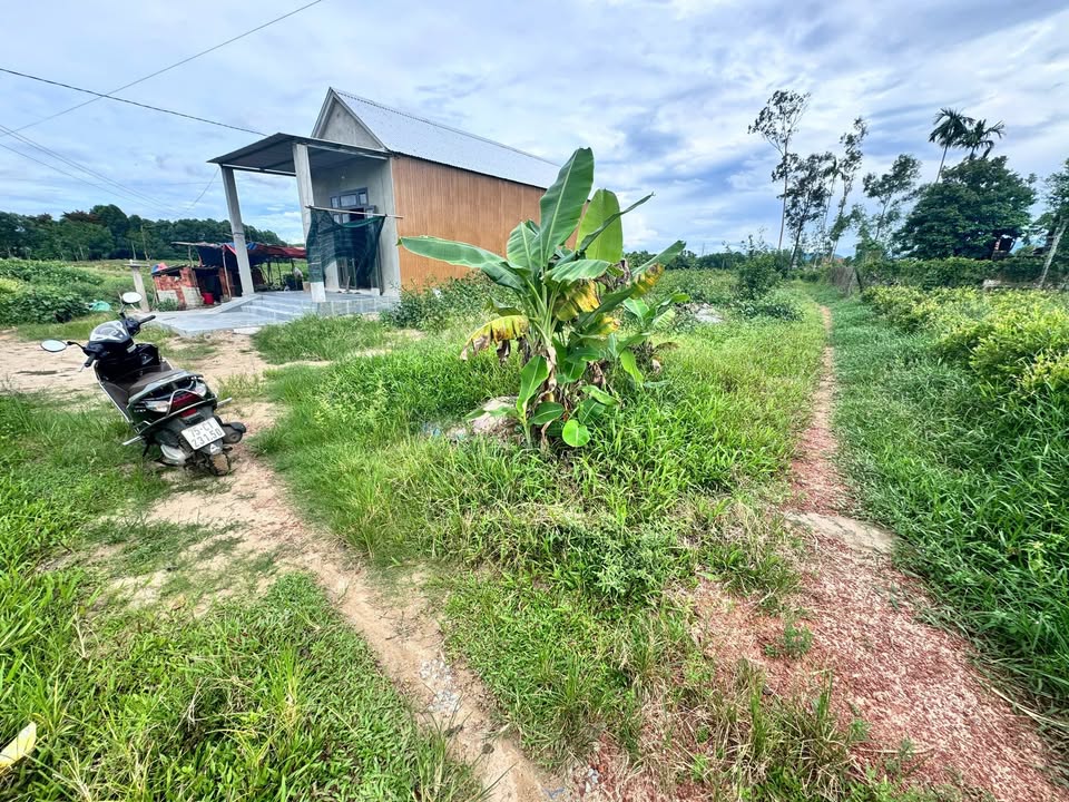 Bán đất 138m² Đông Lâm, Huế - Sổ hồng sẵn, giá chỉ 3xx triệu