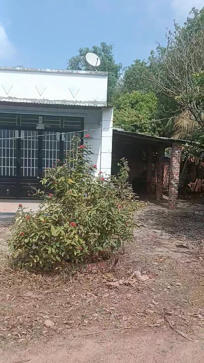 Đất nền Tân Hội Tân Châu 1000m² 260 triệu - Lô góc 2 mặt tiền cực đẹp!