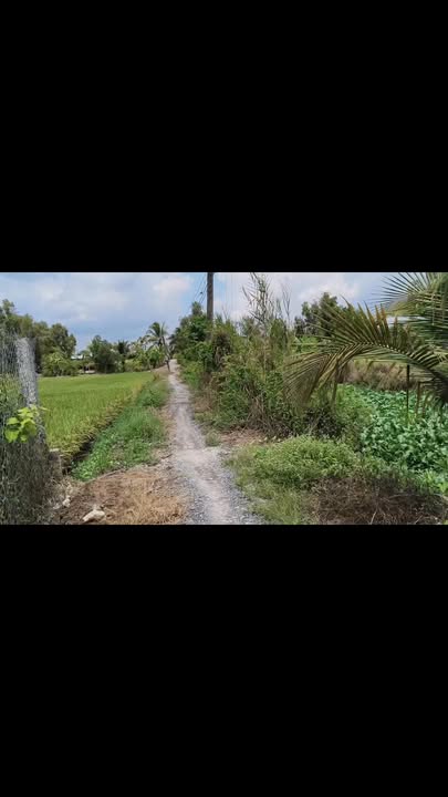 Đất nền Tân Phước 4500m² - Sổ đỏ chính chủ, tiềm năng tăng giá!