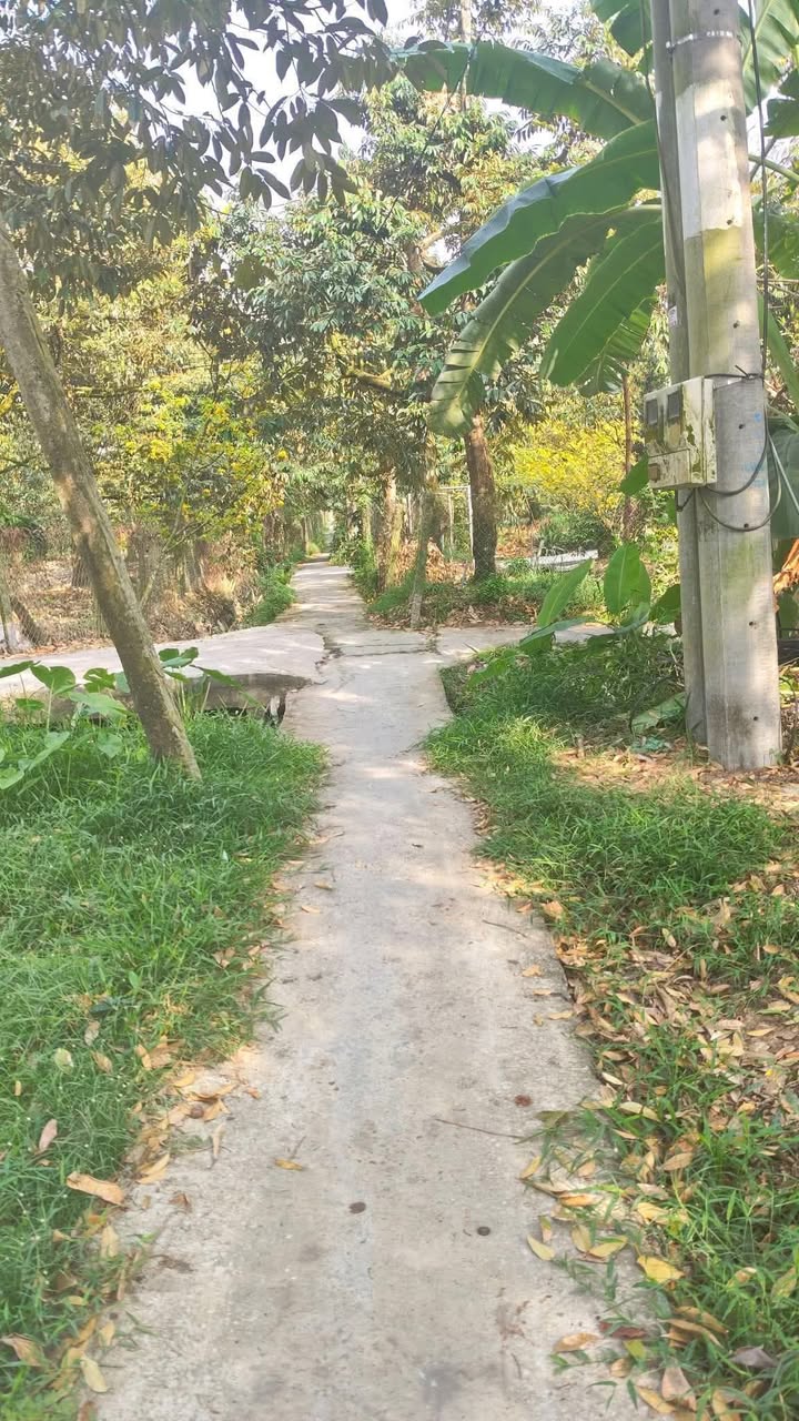 Đất nền Phường 9, Mỹ Tho 114m² giá 370 triệu - Sổ đỏ chính chủ!