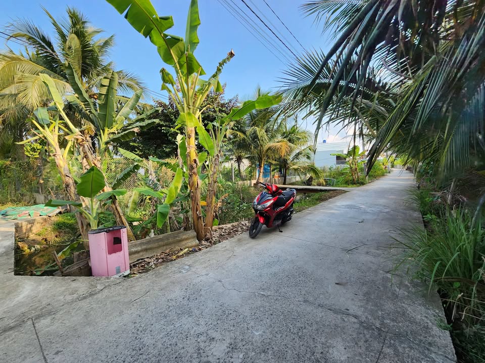 Bán đất mặt tiền Bà Tư Gạo Mỹ Tho 450m²/1.3 tỷ - Sổ hồng sẵn!