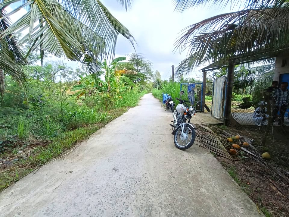 Đất vườn Chợ Gạo Tiền Giang 2900m² 1.6 tỷ - Sổ đỏ chính chủ