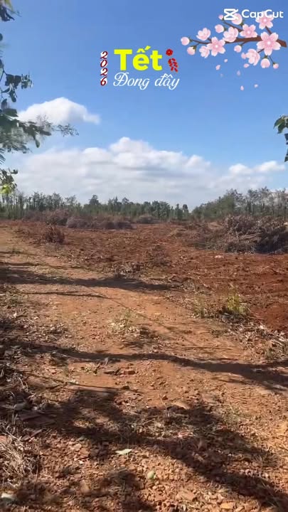 Bán Đất Sào 5.5 Sào Cư M'gar, Đắk Lắk - Gần UBND Xã, Ô tô Tới Nơi