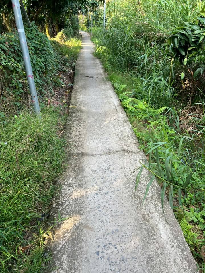 Bán đất nền 785m² mặt tiền đường Dal 1.5m, Xã Bình Thành, Đồng Tháp - Giá tốt đầu tư