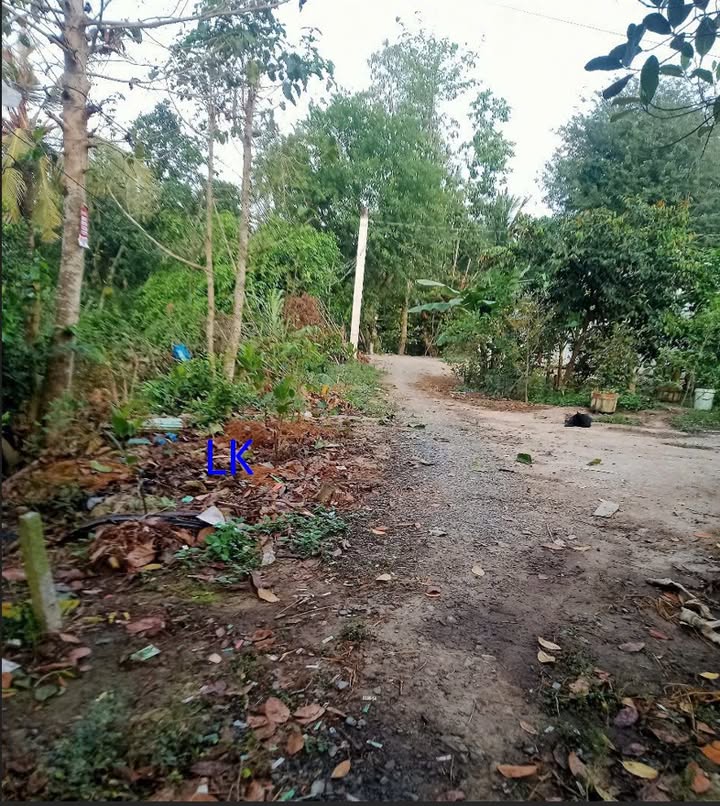 Bán Nền 144m² Tân Hội Trung, Cao Lãnh - Sổ Hồng Sẵn Sàng