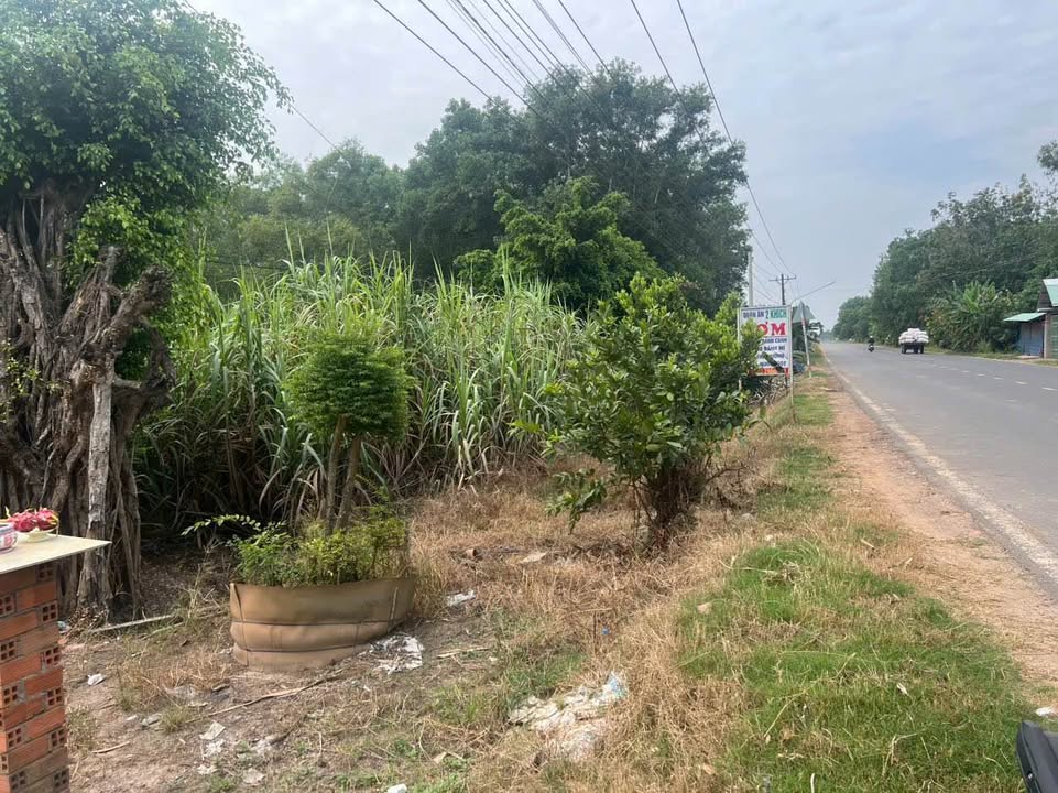 Đất Nền Mặt Tiền DT781 Châu Thành, Tây Ninh 1275m² - Kinh Doanh/Đầu Tư Sinh Lời