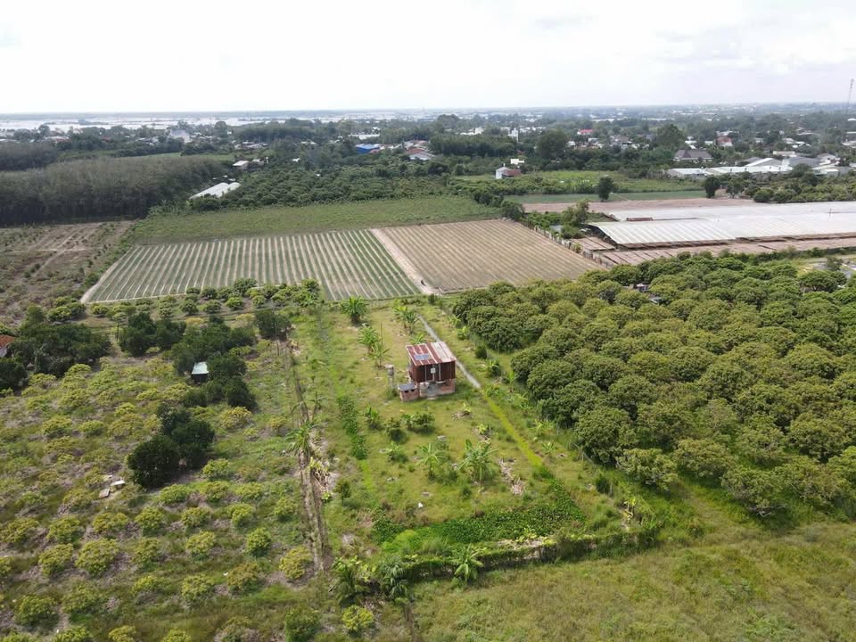 Đất Vườn Hòa Thành Tây Ninh 2000m² Giá 980 Triệu - Nghỉ Dưỡng Lý Tưởng!