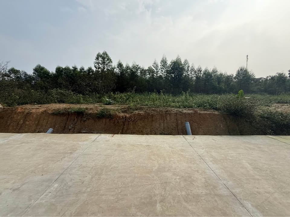 Đất nền Đường Âu Cơ Việt Trì 100m² - Sổ đỏ chính chủ!